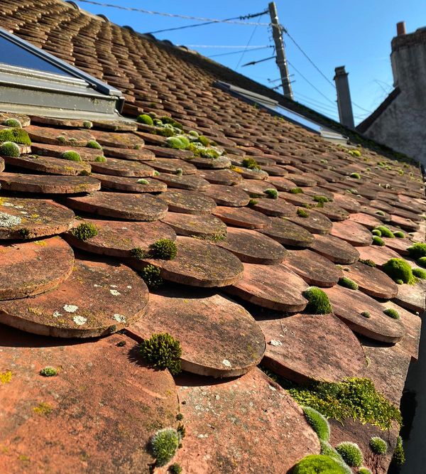 Prix du démoussage de toiture