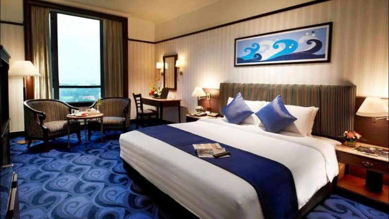 hotels dératisation