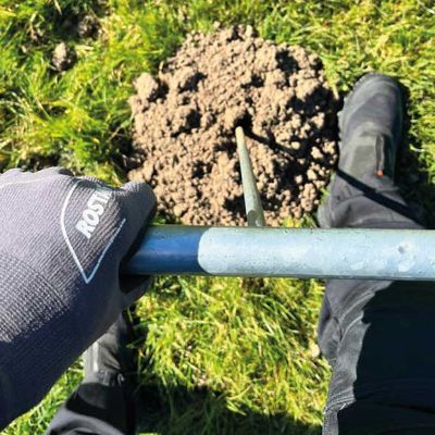 Taupes dans le jardin